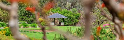 Japanese Garden - Cowra 